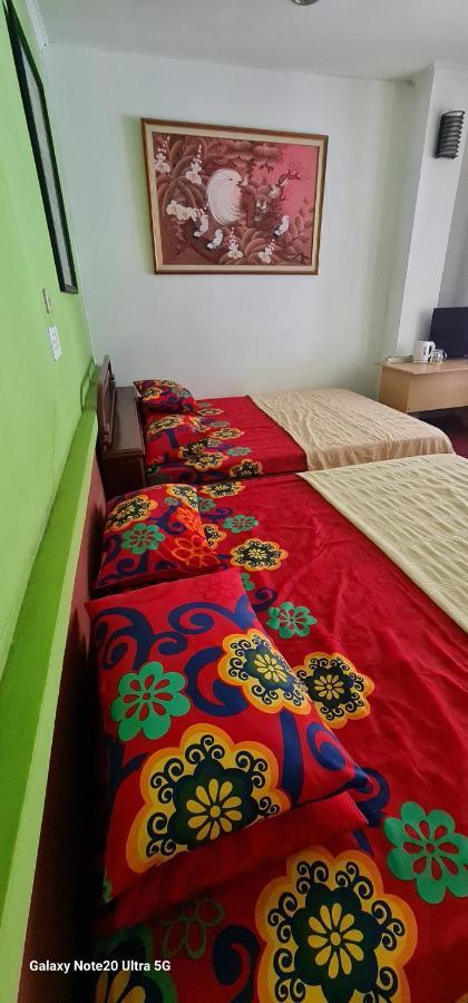 Homestay Triniti Lembang Εξωτερικό φωτογραφία